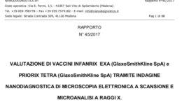 rapporto-45-2017-nanodiagnostics-gatti-montanari