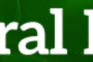 natural-news-logo