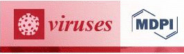 viruses-rivista