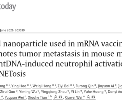 Lipid nanoparticle used in mRNA vaccine promotes tumor metastasis